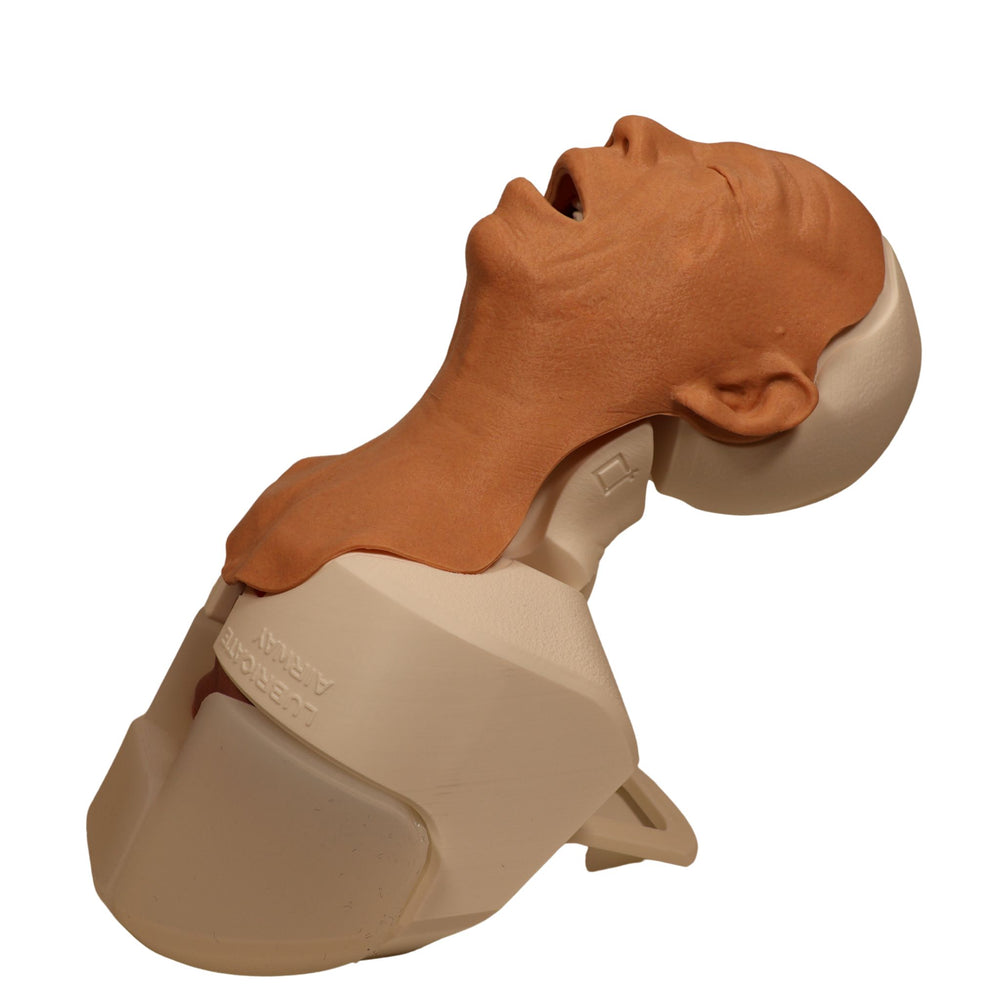 Decent Simulators V2 Airway Management Trainer | C00010 | Sim & Skills Ltd