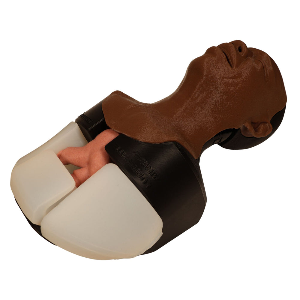 Decent Simulators V2 Airway Management Trainer | C00010-D | Sim & Skills Ltd