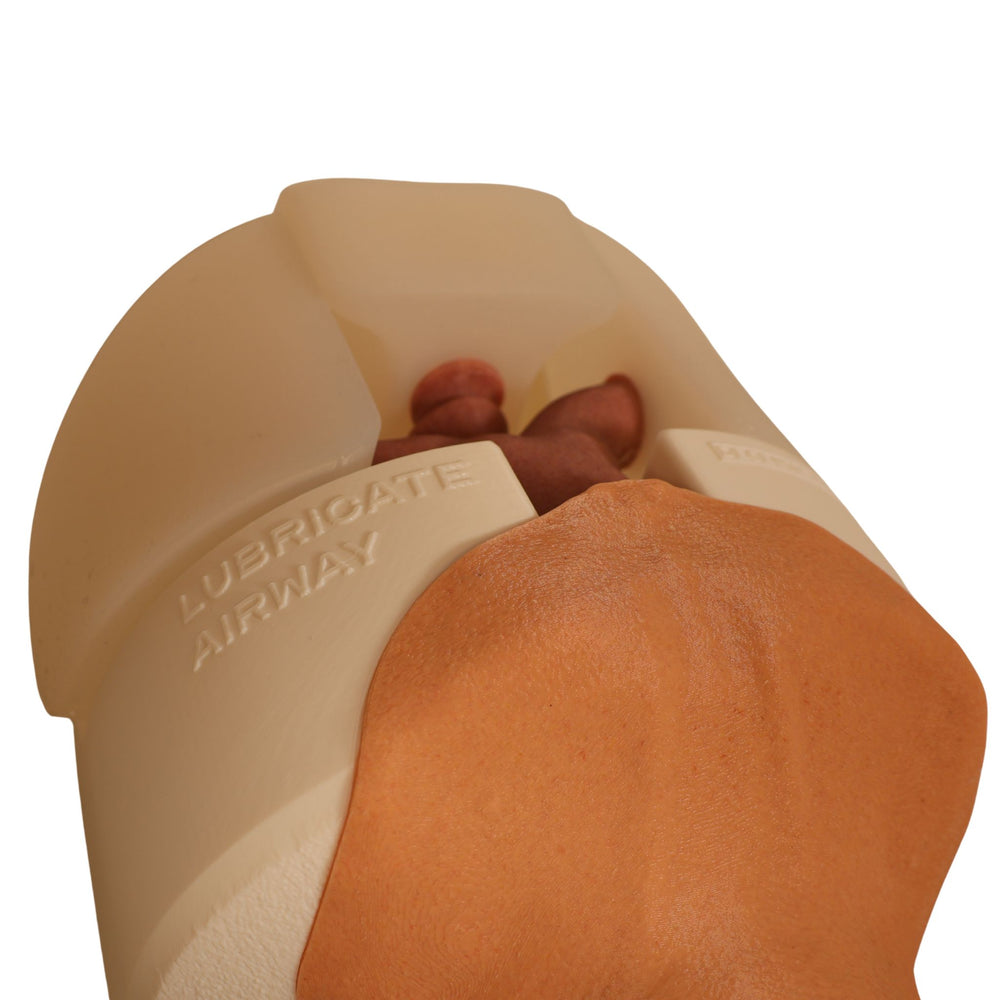 Decent Simulators V2 Airway Management Trainer | C00010 | Sim & Skills Ltd