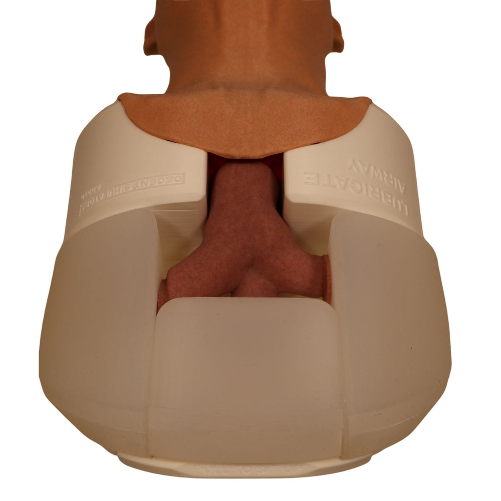 Decent Simulators V2 Airway Management Trainer | C00010 | Sim & Skills Ltd
