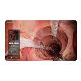 Virtual Dissection Anatomy Table 43-inch