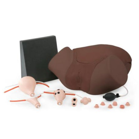Gynecologic Skills Trainer | 1023305 | Sim & Skills Ltd