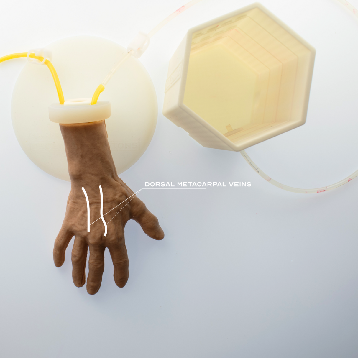IV Hand Trainer Complete | Sim & Skills Ltd