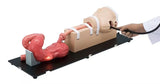 OGD (OesophagoGastroDuodenoscopy) Simulator