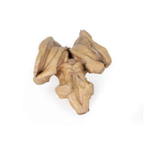 Brain stem, deep cerebral and diencephalic structures | EZ-MP1100 | Sim & Skills Ltd