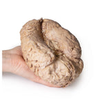 Brain (Cerebrum) | EZ-MP1103 | Sim & Skills Ltd