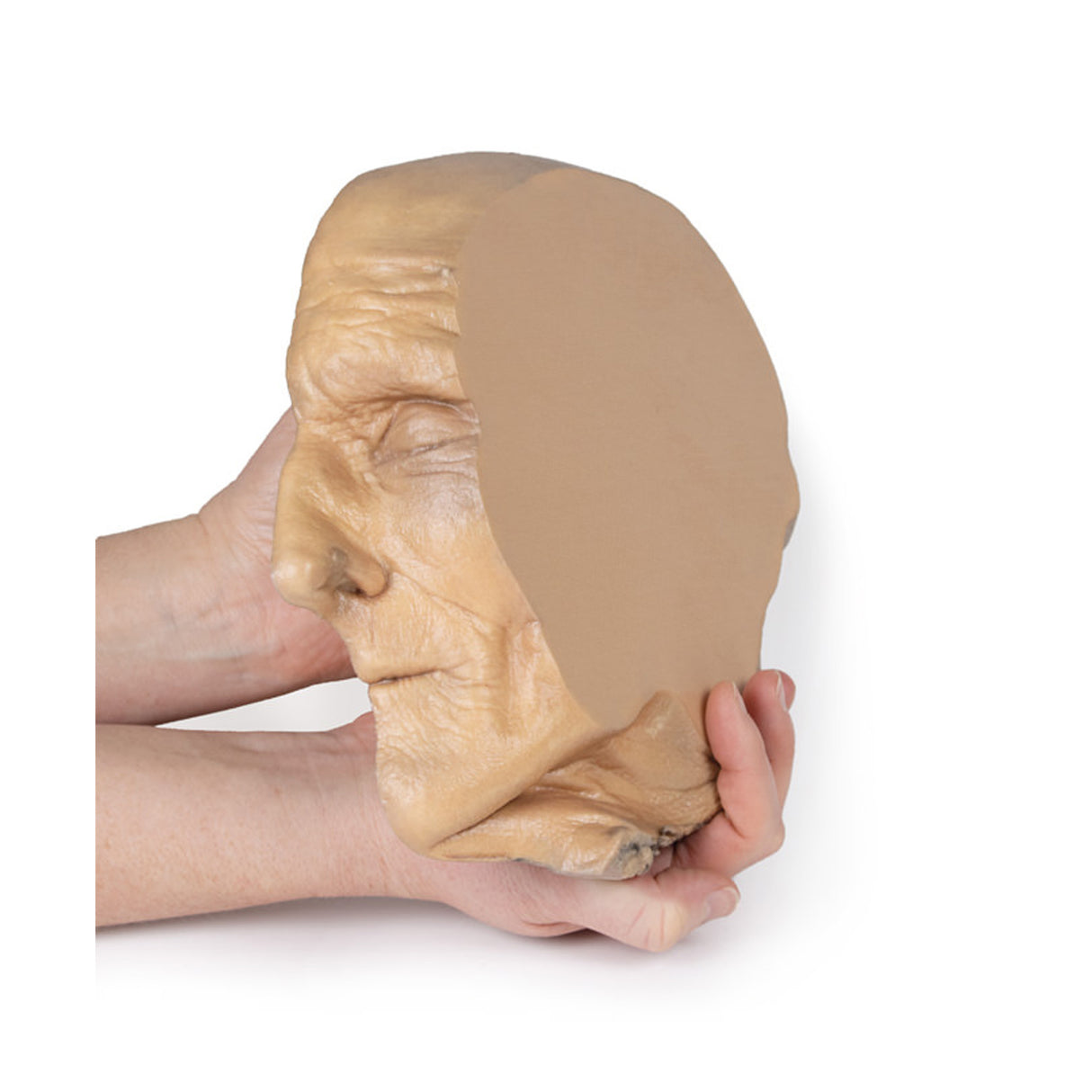 Median Section through head sagittal section of head with deep dissection | EZ-MP1105 | Sim & Skills Ltd