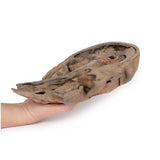 Parasagittal Section of the head and neck | EZ-MP1107 | Sim & Skills Ltd
