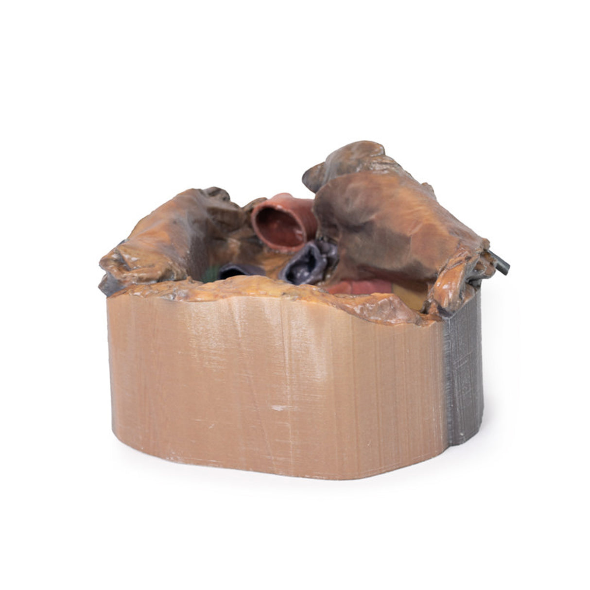 Pericardial space | EZ-MP1121 | Sim & Skills Ltd