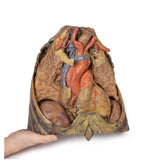 Thorax with heart and vessels | EZ-MP1122 | Sim & Skills Ltd