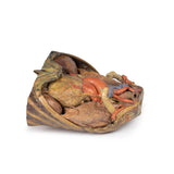 Thorax with heart and vessels | EZ-MP1122 | Sim & Skills Ltd