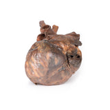 Heart | EZ-MP1123 | Sim & Skills Ltd