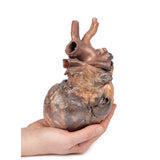 Heart | EZ-MP1123 | Sim & Skills Ltd