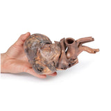 Heart | EZ-MP1123 | Sim & Skills Ltd