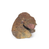 Lung Slab, Hilum removed | EZ-MP1125 | Sim & Skills Ltd 