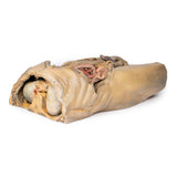 Abdomen with bilateral Hernias | EZ-MP1130 | Sim & Skills Ltd