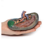 Vasculature of the spleen | EZ-MP1132 | Sim & Skills Ltd