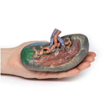 Vasculature of the spleen | EZ-MP1132 | Sim & Skills Ltd