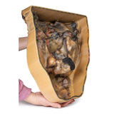 Abdomen with inguinal hernia | EZ-MP1133 | Sim & Skills Ltd