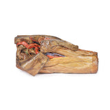 Male hemipelvis and thigh | EZ-MP1142 | Sim & Skills Ltd