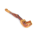 Upper Limb | EZ-MP1500 | Sim & Skills Ltd