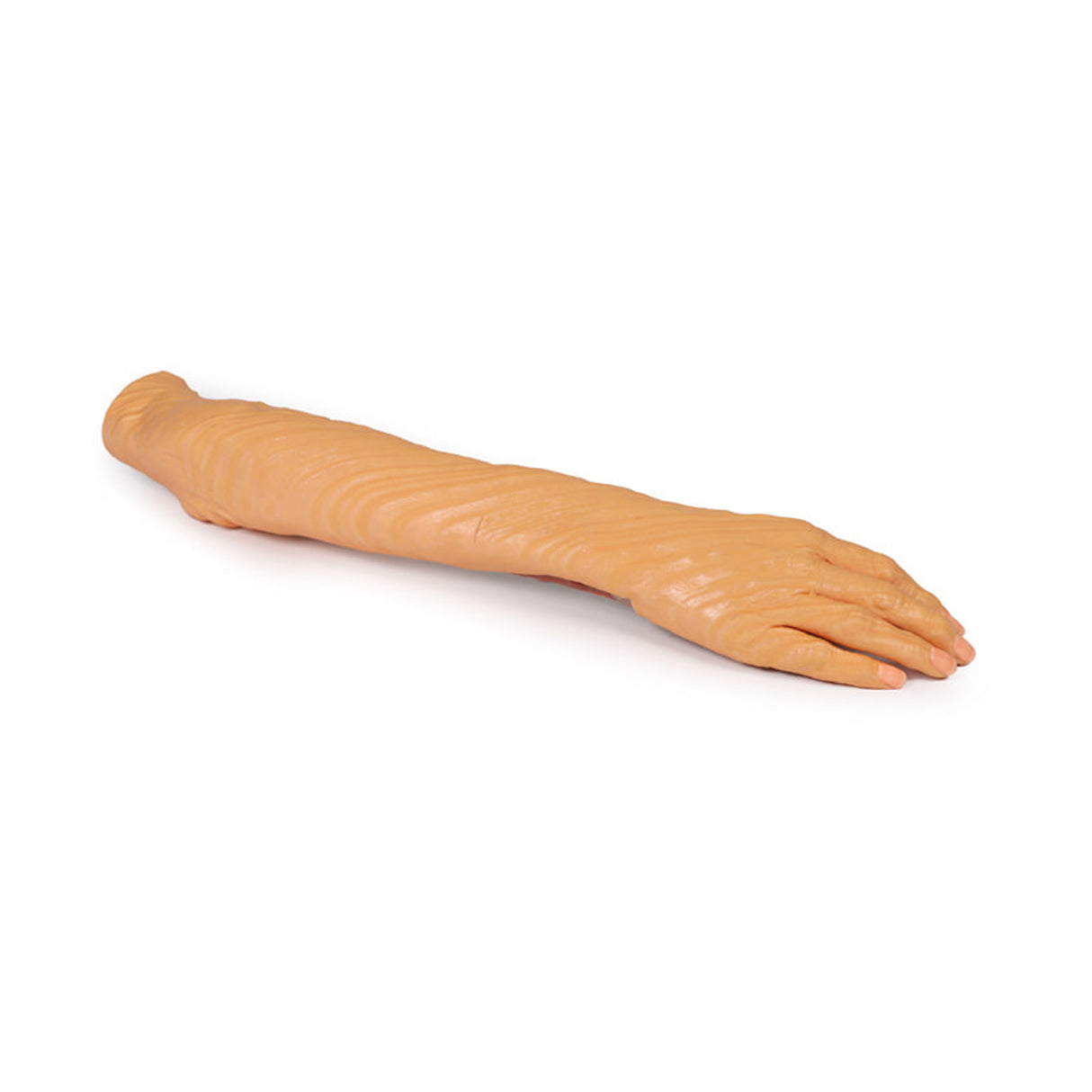 Forearm and hand - superficial and deep dissection | EZ-MP1512 | Sim & Skills Ltd