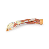 Deep upper limb and hand | EZ-MP1513 | Sim & Skills Ltd