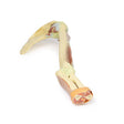 Upper Limb - biceps, bones and ligaments | EZ-MP1515 | Sim & Skills Ltd