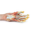 Hand | EZ-MP1530 | Sim & Skills Ltd