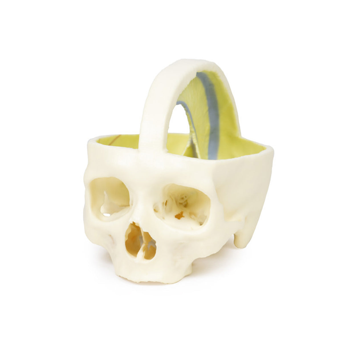 Dural Skull | EZ-MP1610 | Sim & Skills Ltd