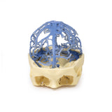 3D Printed Anatomy - Venous Circulation | EZ-MP1645 | Sim & Skills Ltd