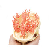 3D Printed Anatomy - Arterial Circulation | EZ-MP1650 |x Sim & Skills Ltd