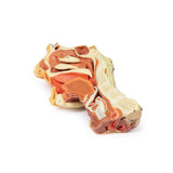 Deep face/Infratemporal fossa | EZ-MP1665 | Sim & Skills Ltd