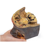 Superior Orbit | EZ-MP1675 | Sim & Skills Ltd