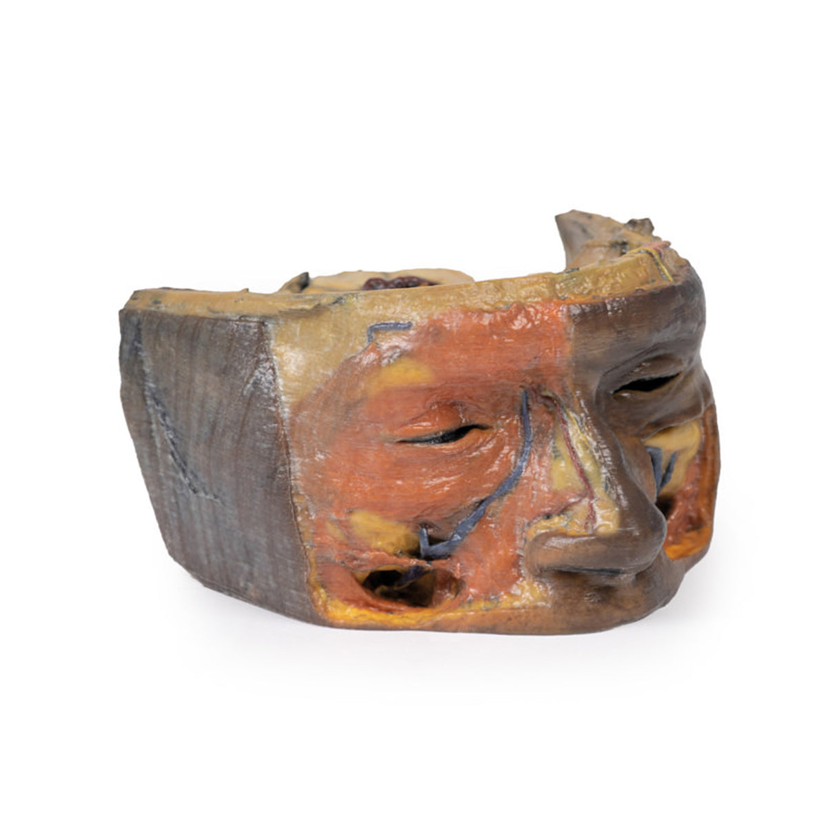 Superior Orbit | EZ-MP1675 | Sim & Skills Ltd