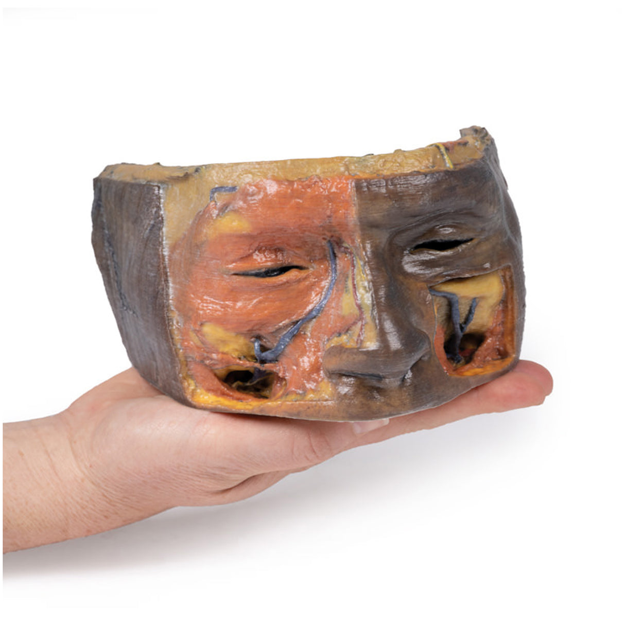 Superior Orbit | EZ-MP1675 | Sim & Skills Ltd