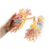 Bronchial Tree | EZ-MP1690 | Sim & Skills Ltd