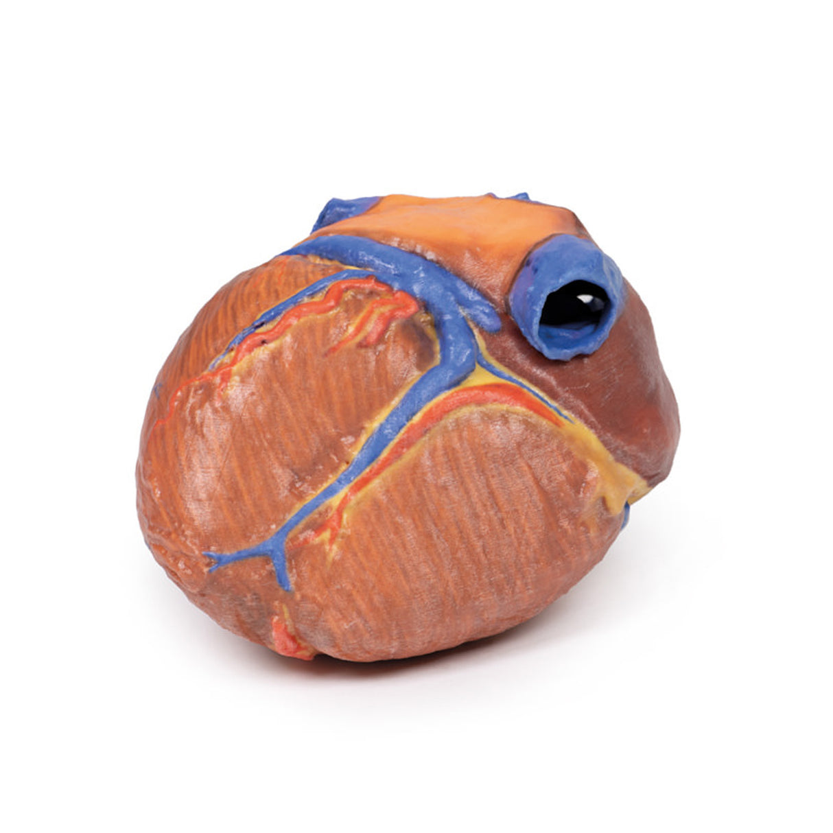 Heart | EZ-MP1700 | Sim & Skills Ltd