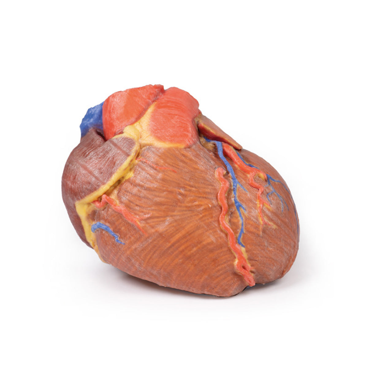 Heart | EZ-MP1700 | Sim & Skills Ltd