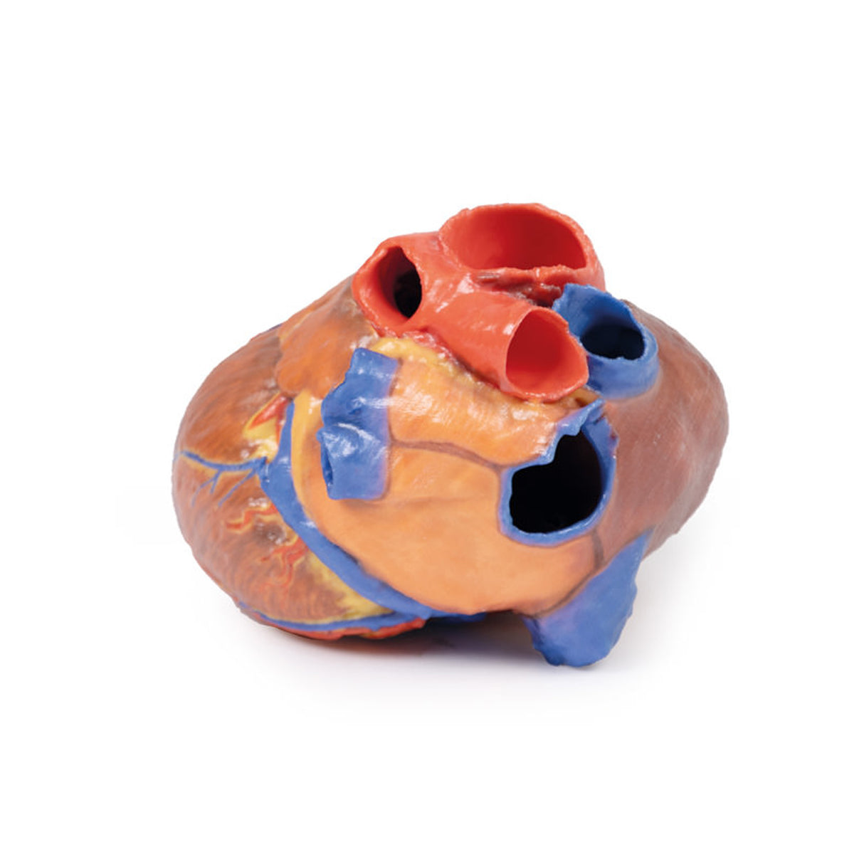 Heart | EZ-MP1700 | Sim & Skills Ltd