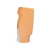 Male left pelvis and proximal thigh | EZ-MP1765 | Sim & Skills Ltd