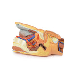 Male left pelvis and proximal thigh | EZ-MP1765 | Sim & Skills Ltd