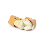 Flexed knee joint deep dissection | EZ-MP1807 | SIm & Skills Ltd