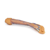 Lower Limb superficial veins | EZ-MP1815 | Sim & Skills Ltd