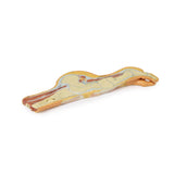 Foot - Parasagittal cross-section | EZ-MP1850 | Sim & Skills Ltd
