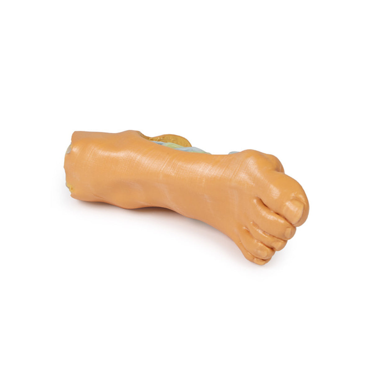 Foot - Deep plantar structures | EZ-MP1940 | Sim & Skills Ltd