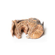 Inhaled Foreign Body—trachea | EZ-MP2053 | Sim & Skills Ltd
