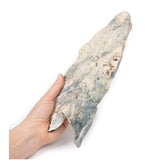 Lung - Staphylococcus aureus Abscesses | EZ-MP2064 | Sim & Skills Ltd