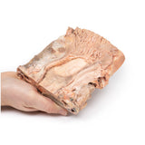 Chronic Gastric Ulcer | EZ-MP2076 | Sim & Skills Ltd