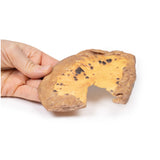 Mesenteric Metastases from Cutaneous Malignant Melanoma | EZ-MP2083 | Sim & Skills Ltd